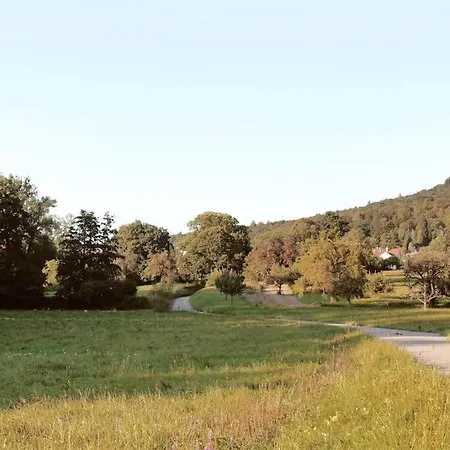 Smart-apartment Blickwinkel Schwarzwald * Gaggenau